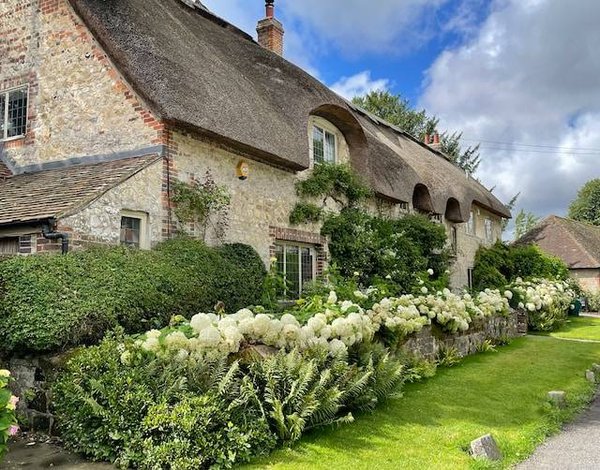 Terrasse en bois pour un meilleur rapport qualité-prix