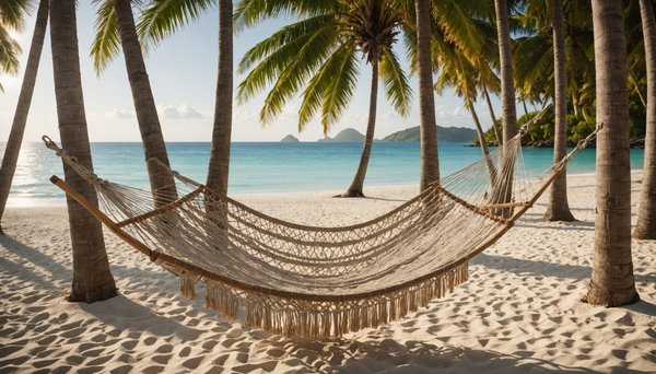 Comment tropical hamac inspire relaxation et bien etre quotidien ?